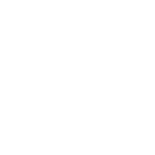 Logo ElyrionMC
